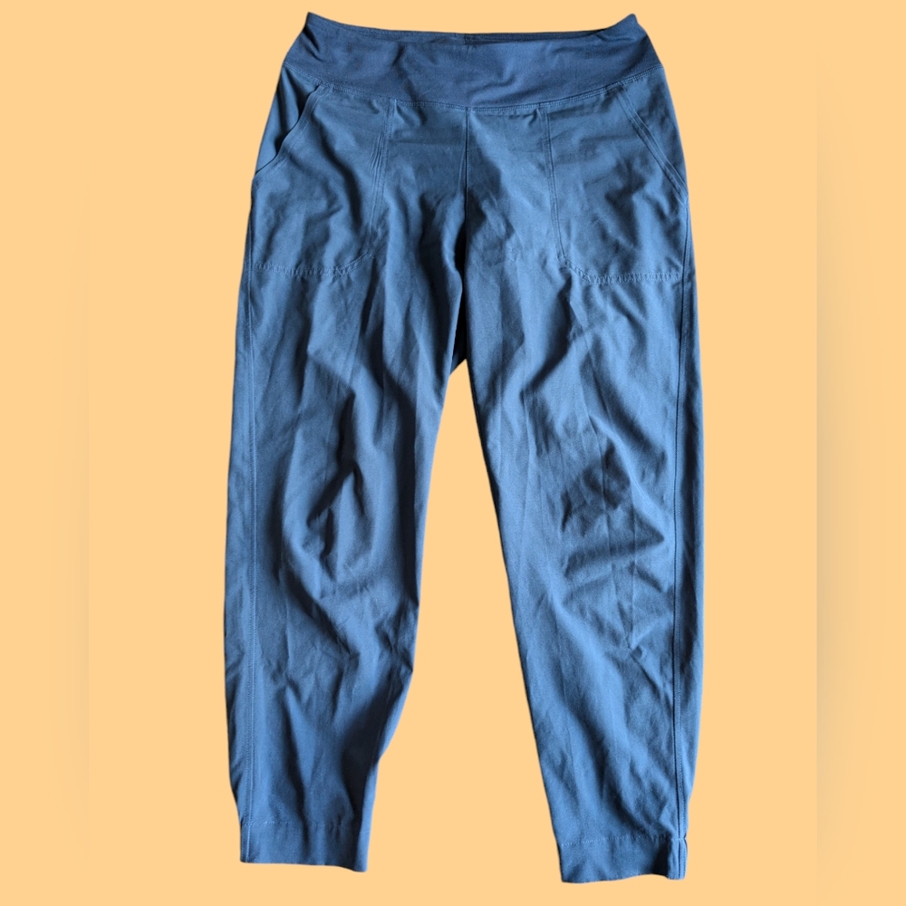 Patagonia Blue Track Pants Joggers